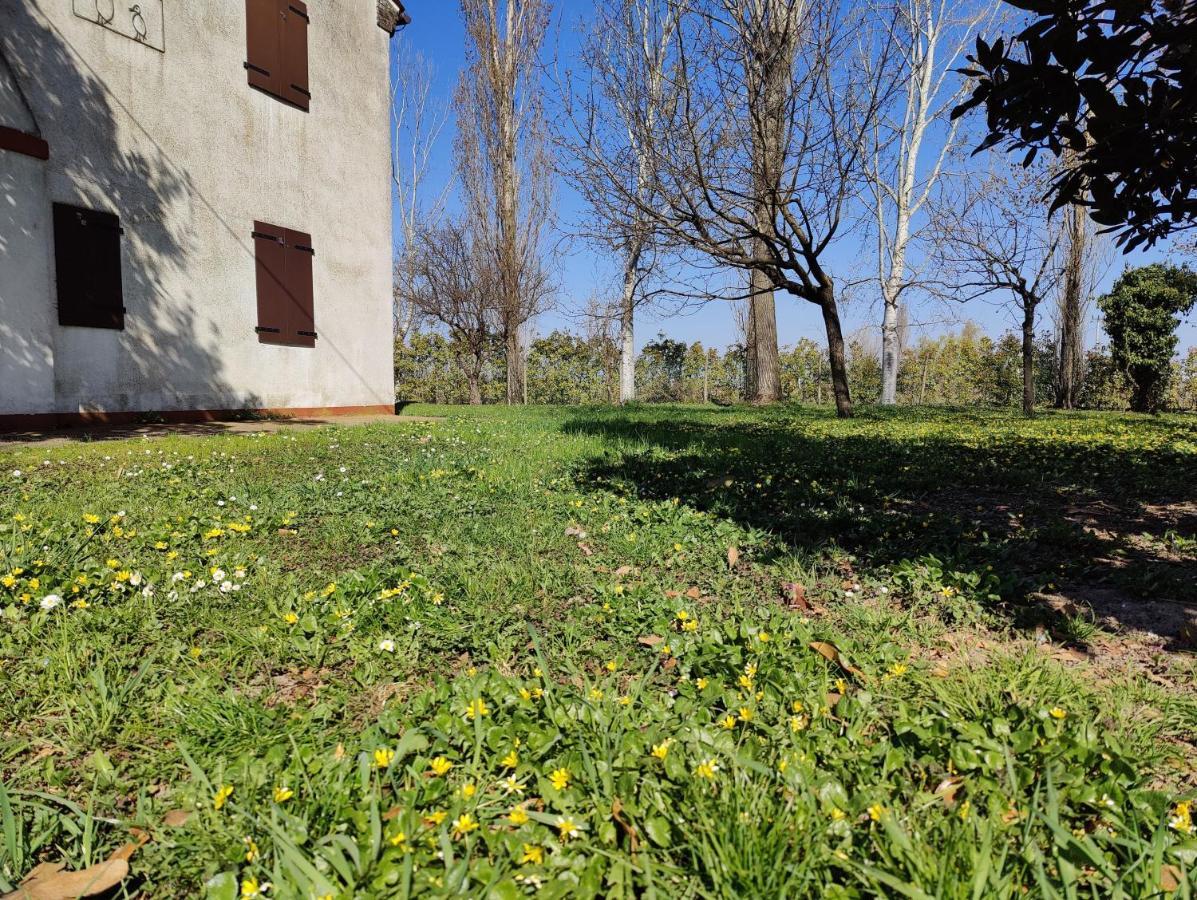 Ca Degli Aironi Villa Cittanova  Luaran gambar